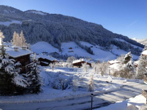 Studio cosy 4 personnes avec balcon et parking au Grand Bornand - FR-1-458-154